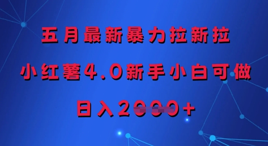 五月最新暴力拉新拉，小红薯4.0新手小白可做，日入多张-追梦聊项目