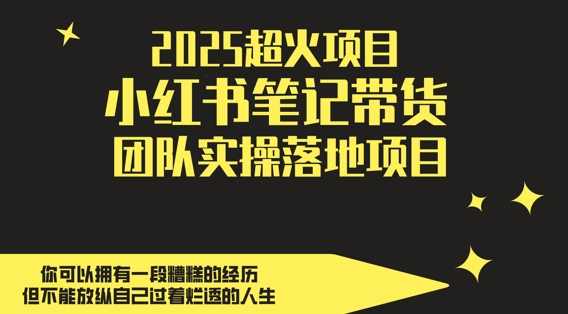 2025超火项目，副业最佳选择，小红书笔记带货团队实操落地项目，，轻松日入5张-追梦聊项目