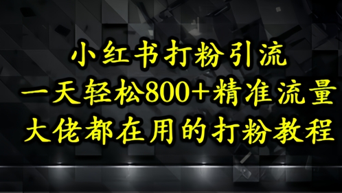 小红书打粉引流，一天轻松500+精准流量，大佬都在用的打粉教程-追梦聊项目