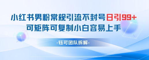 小红书男粉常规引流不封号日引99+变现简单 可矩阵可复制小白容易上手-追梦聊项目