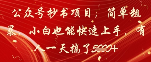 公众号抄书项目，简单粗暴，小白也能快速上手，有人一天搞了1k+-追梦聊项目
