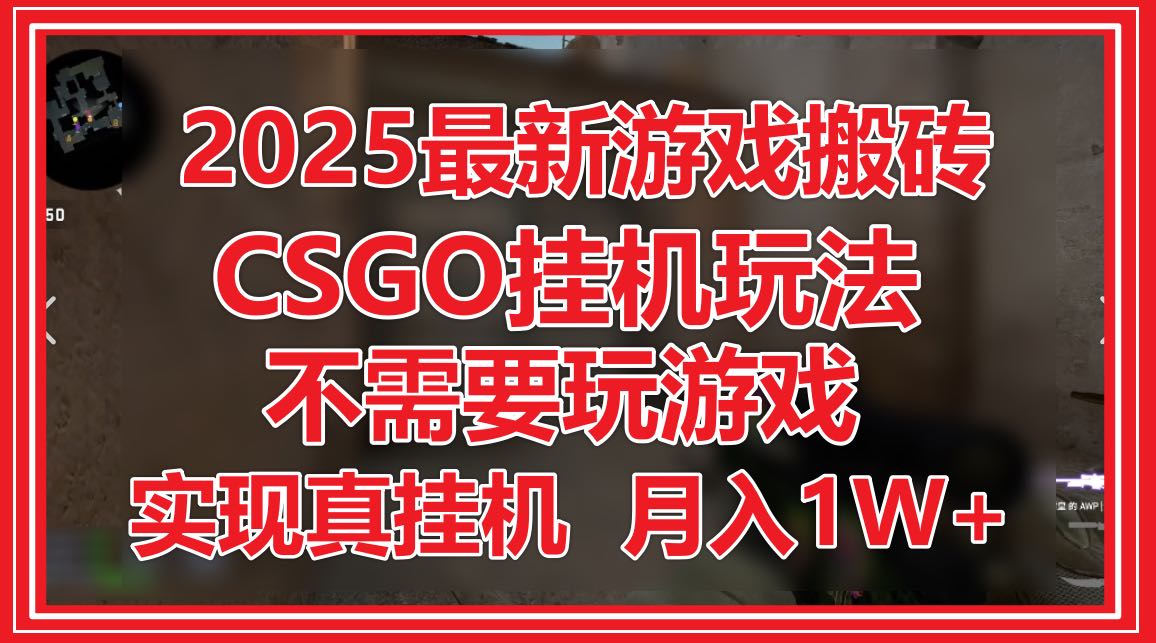 2025最新游戏搬砖，CSGO挂机，不需要玩游戏，实现真挂机，月入1W+-追梦聊项目