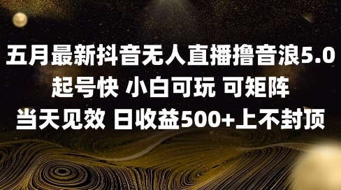 2025五月最新无人直播撸音浪单日产出5张+实操教程【揭秘】-追梦聊项目