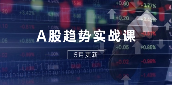 A股趋势实战课：主力动向+政策红利，2025全年策略5月更新-追梦聊项目