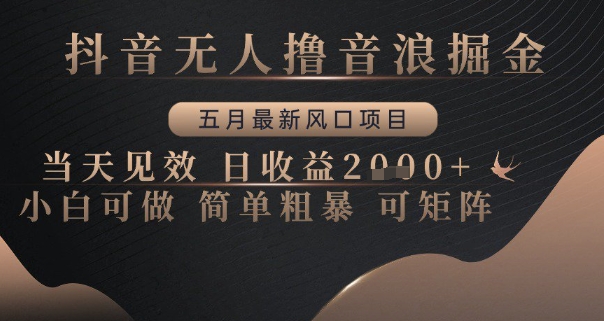 抖音无人撸音浪掘金，五月最新风口项目，当天见效，日收益多张，小白可做简单粗暴可矩阵【揭秘】-追梦聊项目