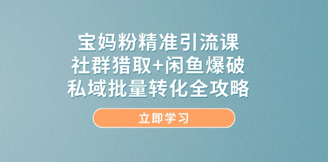 宝妈粉精准引流课，社群猎取+闲鱼爆破，私域批量转化全攻略-追梦聊项目