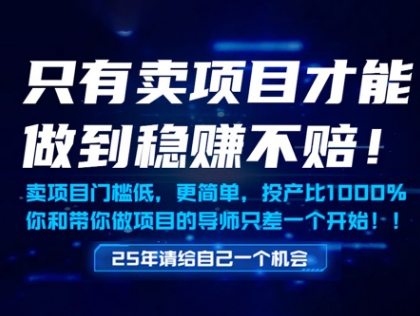 只有卖项目才能做到稳挣不赔，门槛低，更简单，你也可以年入百个W【揭秘】-追梦聊项目
