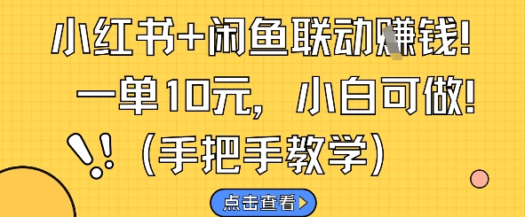 小红书+闲鱼联动挣钱，一单10元，小白可做-追梦聊项目