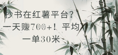 抄书在小红薯平台？平均一单30米，一天收益几张！-追梦聊项目