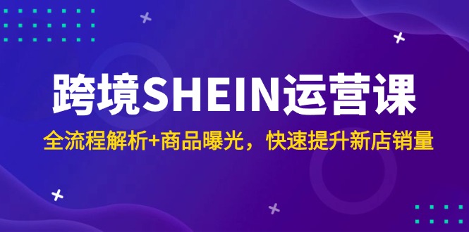 跨境SHEIN运营课，全流程解析+商品曝光，快速提升新店销量-追梦聊项目