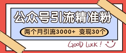 公众号精准粉引流玩法，2个月3000+精准粉，变现30个W【揭秘】-追梦聊项目