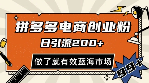 拼多多引流电商创业粉，日引200+，可矩阵放大，做了就有效【揭秘】-追梦聊项目