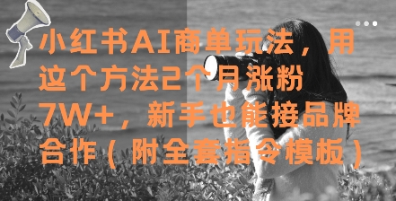 小红书AI商单玩法，用这个方法2个月涨粉7W+，新手也能接品牌合作(附全套指令模板)-追梦聊项目