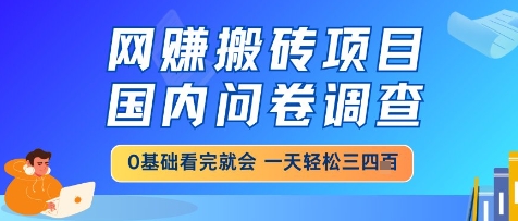 网创搬砖项目，国内问卷调查，小白轻松上手，一天三四张的也不难，干就完了【揭秘】-追梦聊项目