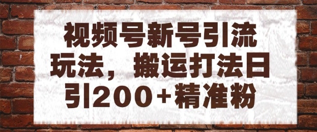 视频号新号引流玩法，搬运打法日引200+精准粉，可矩阵放大【揭秘】-追梦聊项目