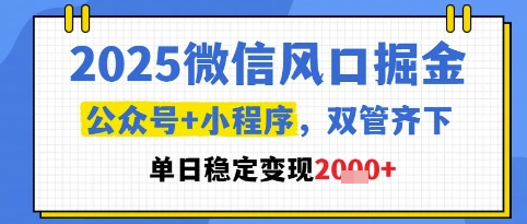 2025微信风口掘金，公众号+小程序双管齐下，单日稳定变现1k+【揭秘】-追梦聊项目