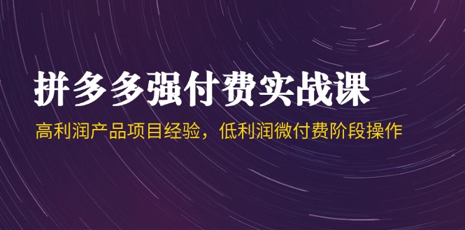 拼多多强付费实战课-44期，高利润产品项目经验，低利润微付费阶段操作-追梦聊项目