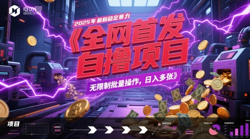 全网首发，2025年最新稳定暴力全自动自撸项目，无限制批量操作，日入多张【揭秘】-追梦聊项目