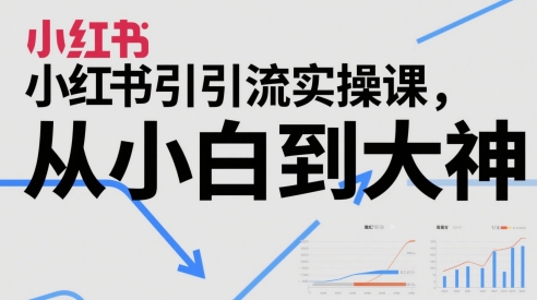 小红书引流实操课，从小白到大神-追梦聊项目