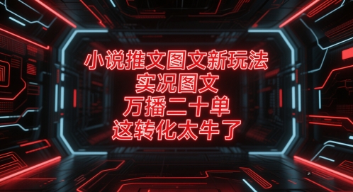 小说推文图文新玩法，实况图文，万播二十单，这转化太牛了！-追梦聊项目