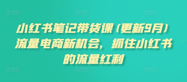 小红书笔记带货课(更新25年5月)流量电商新机会，抓住小红书的流量红利-追梦聊项目