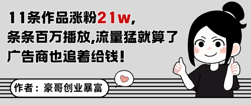 11条作品涨粉21W，条条百W播放，流量猛就算了，广告商也追着给钱-追梦聊项目