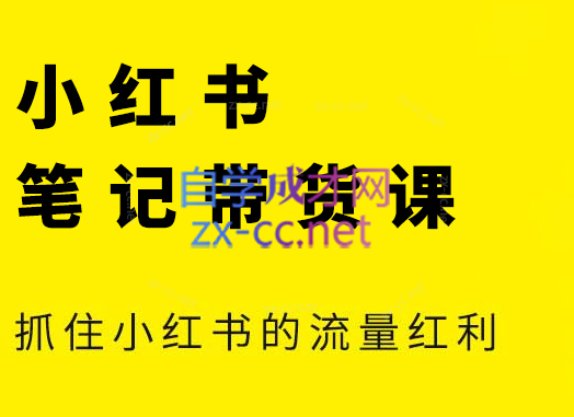 张宾·小红书笔记带货课(更新5月)-追梦聊项目