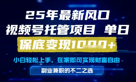 25年最新风口，视频号托管项目，单日保底变现1k+，手把手教学【揭秘】-追梦聊项目