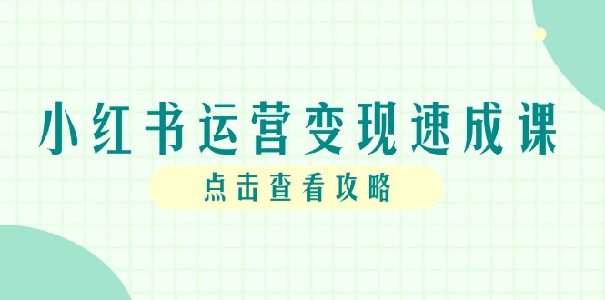 小红书运营变现速成课，账号搭建到暴力起号，个人IP全流程指南-追梦聊项目