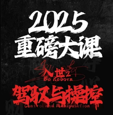 2025重磅大课，入世2，驾驭与控制-追梦聊项目