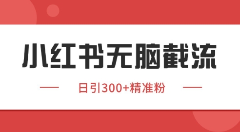 小红书截流同行客源，独家野路子获客玩法 日引200+暴力获客【揭秘】-追梦聊项目