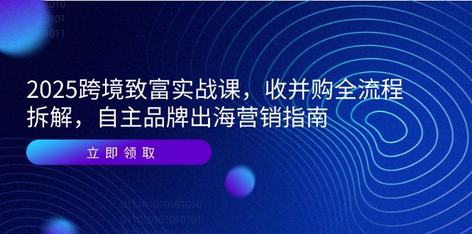 2025跨境致富实战课，收并购全流程拆解，自主品牌出海营销指南-追梦聊项目