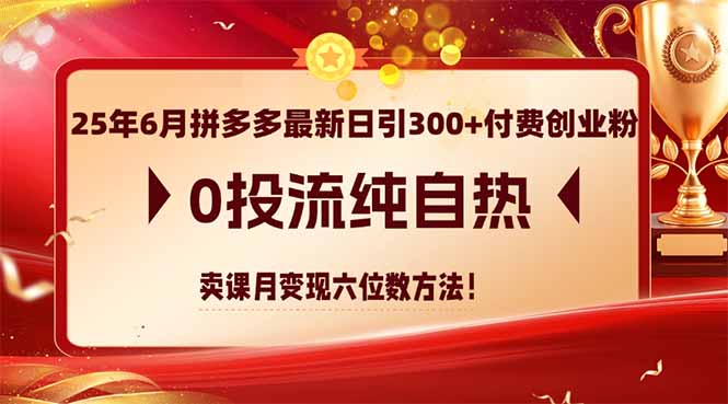 25年6月拼多多最新日引300+付费创业粉，0投流纯自热 卖课月变现六位数方法-追梦聊项目