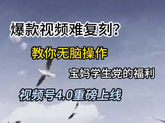视频号4.0重磅上线，爆款视频难复刻？教你无脑操作宝妈学生党的福利【揭秘】-追梦聊项目