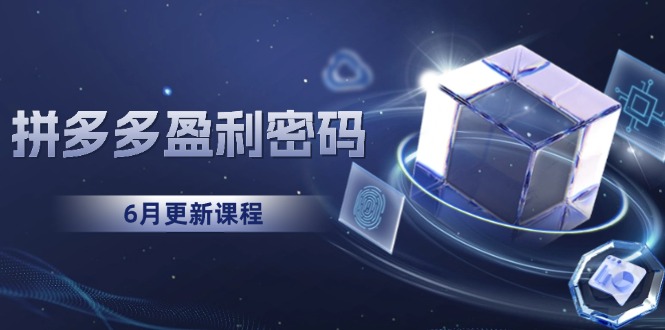 拼多多盈利密码：从烧钱推广到印钞模型，底层逻辑重构指南(6月更新-追梦聊项目