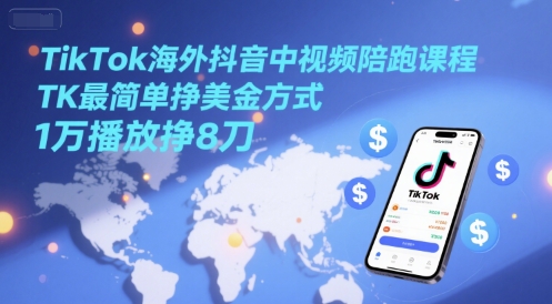 TikTok海外抖音中视频陪跑课程，TK最简单挣美金方式，1万播放挣8刀-追梦聊项目