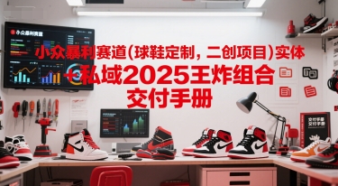 小众暴利赛道(球鞋定制，二创项目)实体+私域2025王炸组合  交付手册-追梦聊项目