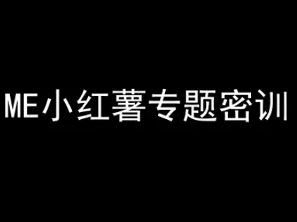 ME小红薯专题密训-小红书电商教程-追梦聊项目