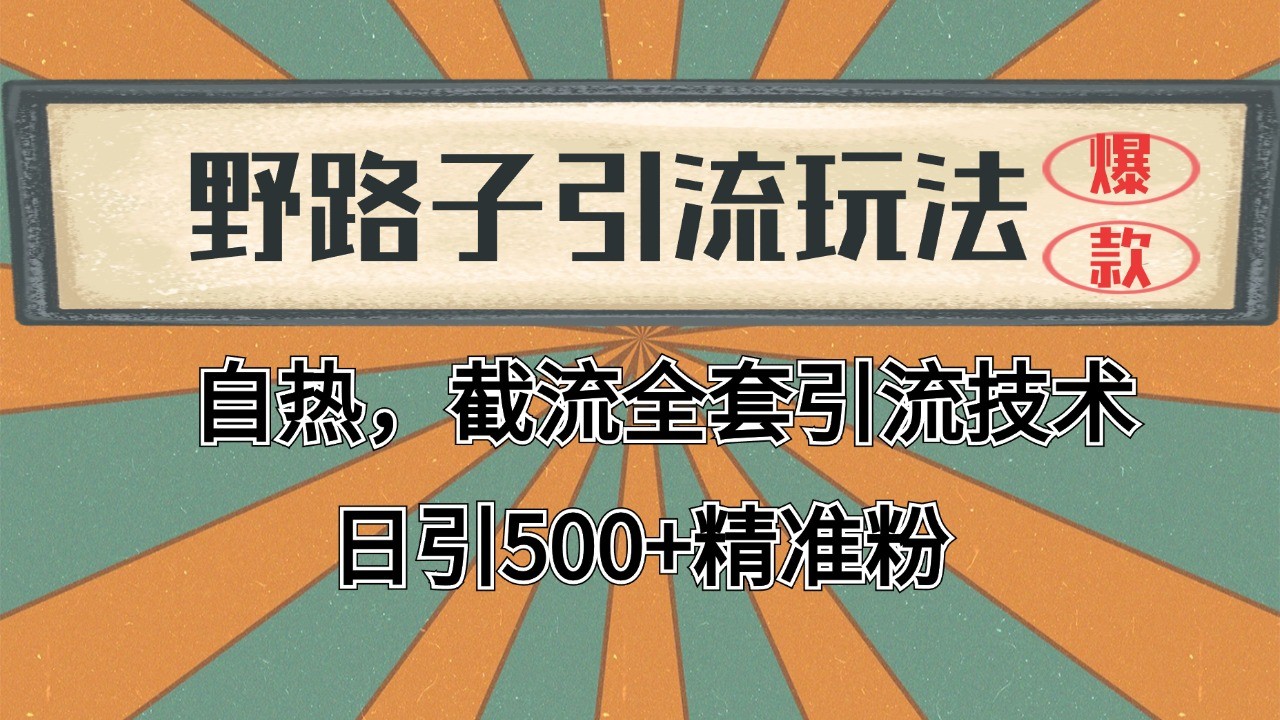 2024首发野路子引流玩法截流自热全平台打法，全自动引流【日引2000+精准客户】-追梦聊项目