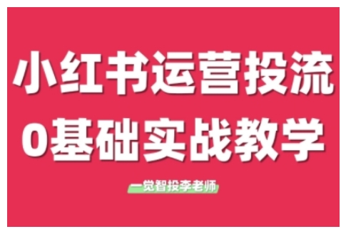 小红书运营投流，小红书广告投放从0到1的实战课，学完即可开始投放(更新)-追梦聊项目
