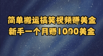 简单搬运搞笑视频挣美金，新手一个月入1k美金-追梦聊项目