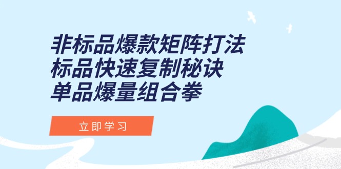 非标品爆款矩阵打法，标品快速复制秘诀，单品爆量组合拳-追梦聊项目