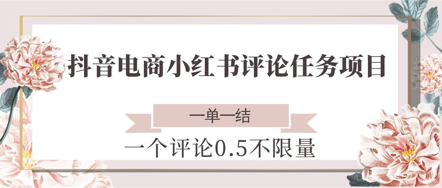抖音电商小红书评论任务项目，一个评论0.5，一单一结 不限量-追梦聊项目