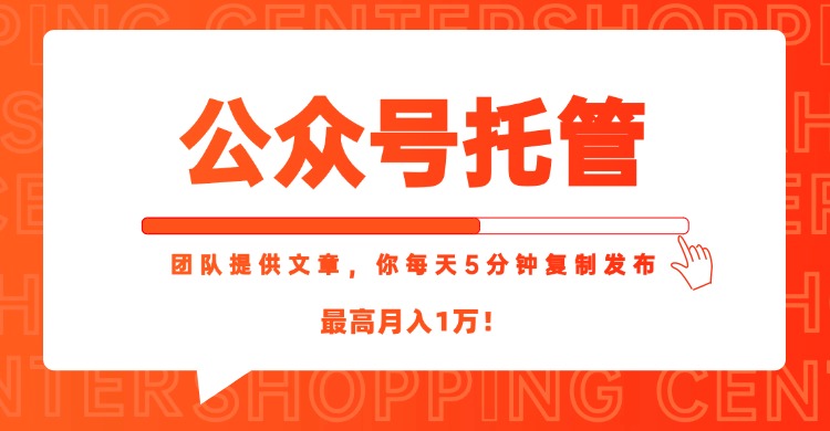 【公众号托管 】我提供文章，你每天５分钟复制发布，最高月入1W-追梦聊项目