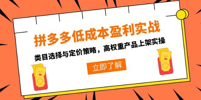 拼多多低成本盈利实战，类目选择与定价策略，高权重产品上架实操-追梦聊项目