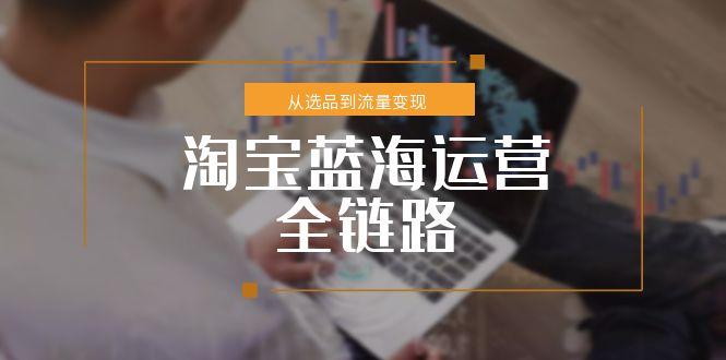 淘宝蓝海运营全链路，从选品到流量变现，小类目突围完整方案-追梦聊项目