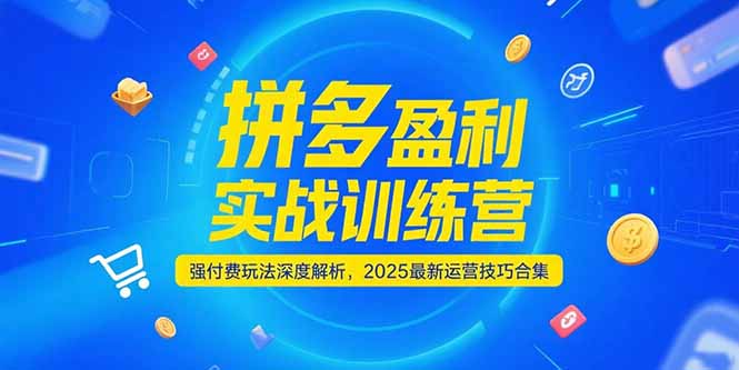 拼多多盈利实战训练营，强付费玩法深度解析，2025运营技巧合集-更新6月-追梦聊项目