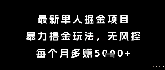 最新单人掘金项目，暴力撸金玩法，无风控，每个月多挣5k+【揭秘】-追梦聊项目