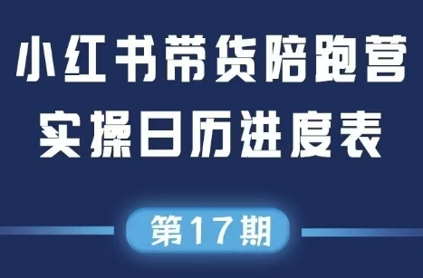 盗坤·抖音小红书视频号短视频带货与直播变现(11-17期)-追梦聊项目