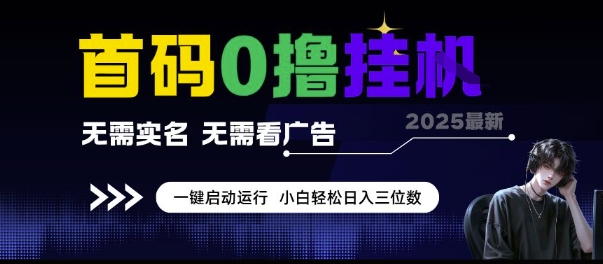首码0撸挂G项目，无需实名无需看广告 一键启动运行，小白轻松日入三位数【揭秘】-追梦聊项目